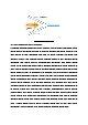 중합효소연쇄반응 PCR (Polymerase Chain Reaction) 예비레포트 [A+]   (3 )